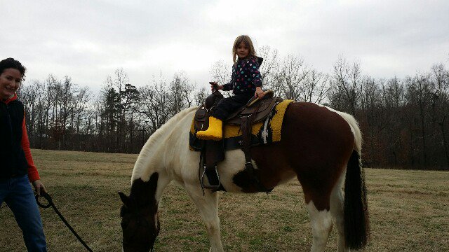 sherrnc's tweet photo. Lil' cowgirls don't have the blues! #horses #horserescue #AdoptDontShop #equine #love https://t.co/c9ThfHVb2I