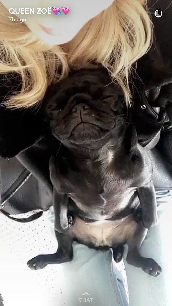 gingerbreadzoee's tweet photo. CUTE SO MUCH LOVE @Zoella https://t.co/UfubZICNGi