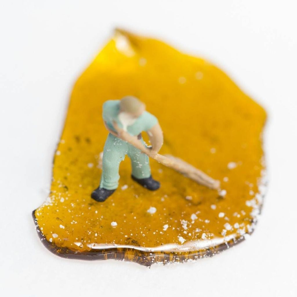 tweedledoob's tweet image. Careful you don't spill your CBD distillate, unless you have a micro-janitor to sweep it u… ift.tt/2jJKVRk