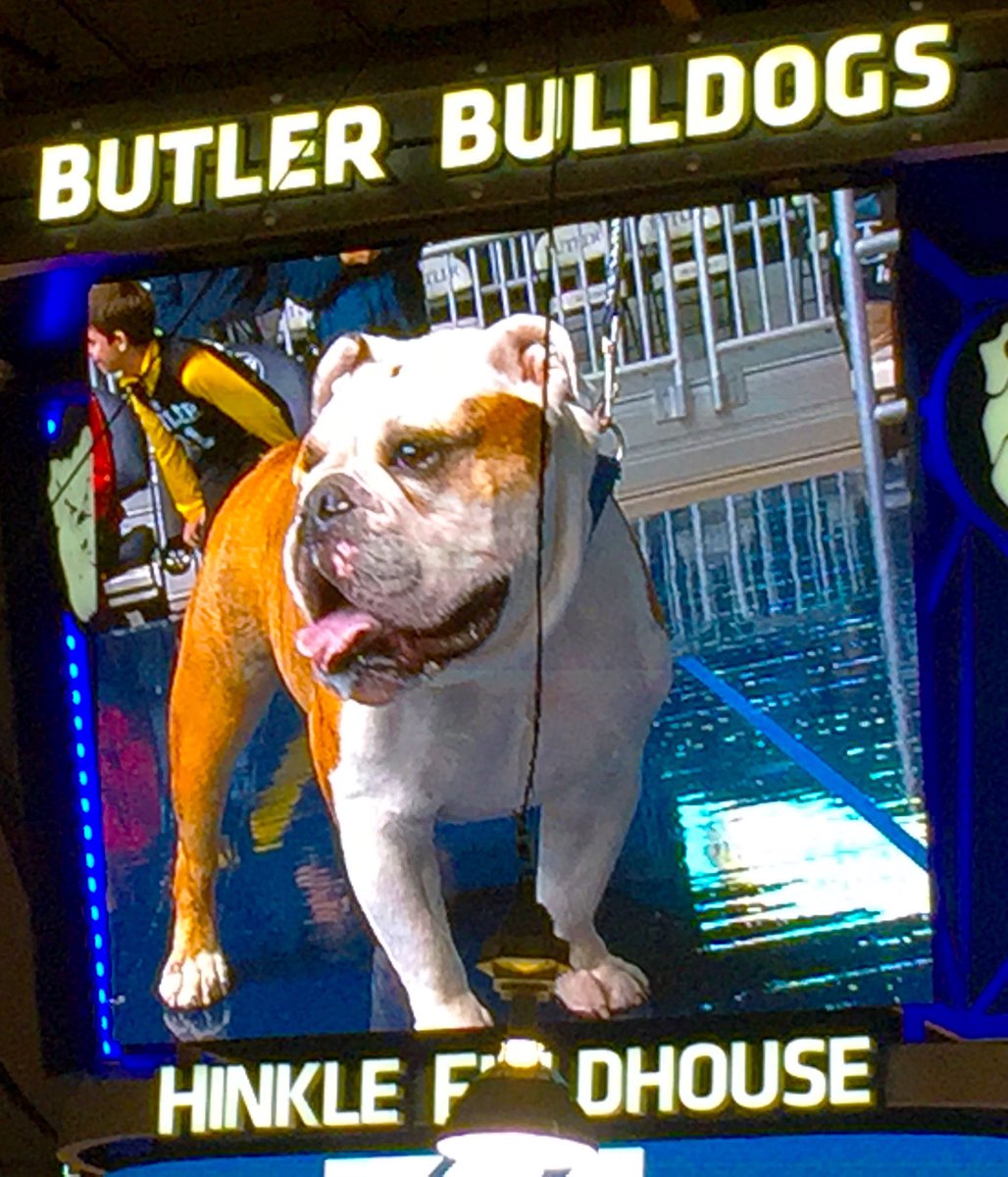 Bob_D_Jr's tweet photo. 🏀💙🐶 *whew!* Another #BUtiful day at #HinkleFieldhouse / #BasketballCathedral as @ButlerU @ButlerMBB #GoDawgs #BeatX #ButlerDad #LoveButler https://t.co/m5IUKQIwnl