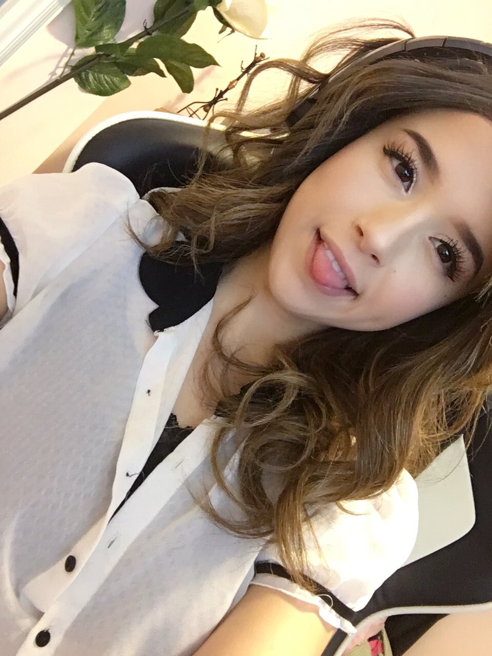 I'm live! twitch.tv/pokimane. 