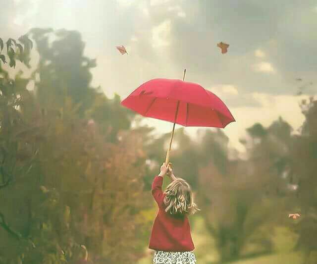 فــدڪ المـوســويّ✤‏ོ tweet media