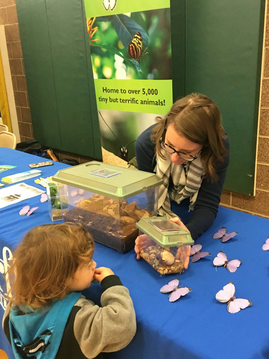 dpp_org's tweet photo. The @B_flyPavilion gave #kids some  hands-on time w/ bugs while parents leaned about#Denver #preschools at the #DPPShowcase today. https://t.co/2pYRXYpmcy