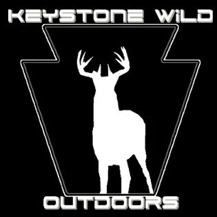 Matt pitzer tweet media