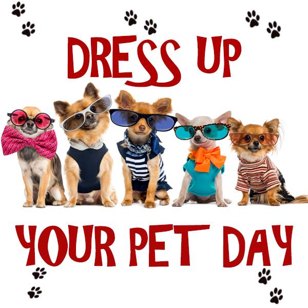 There's a day for everything! it's nat'l dress up your pet day. reply