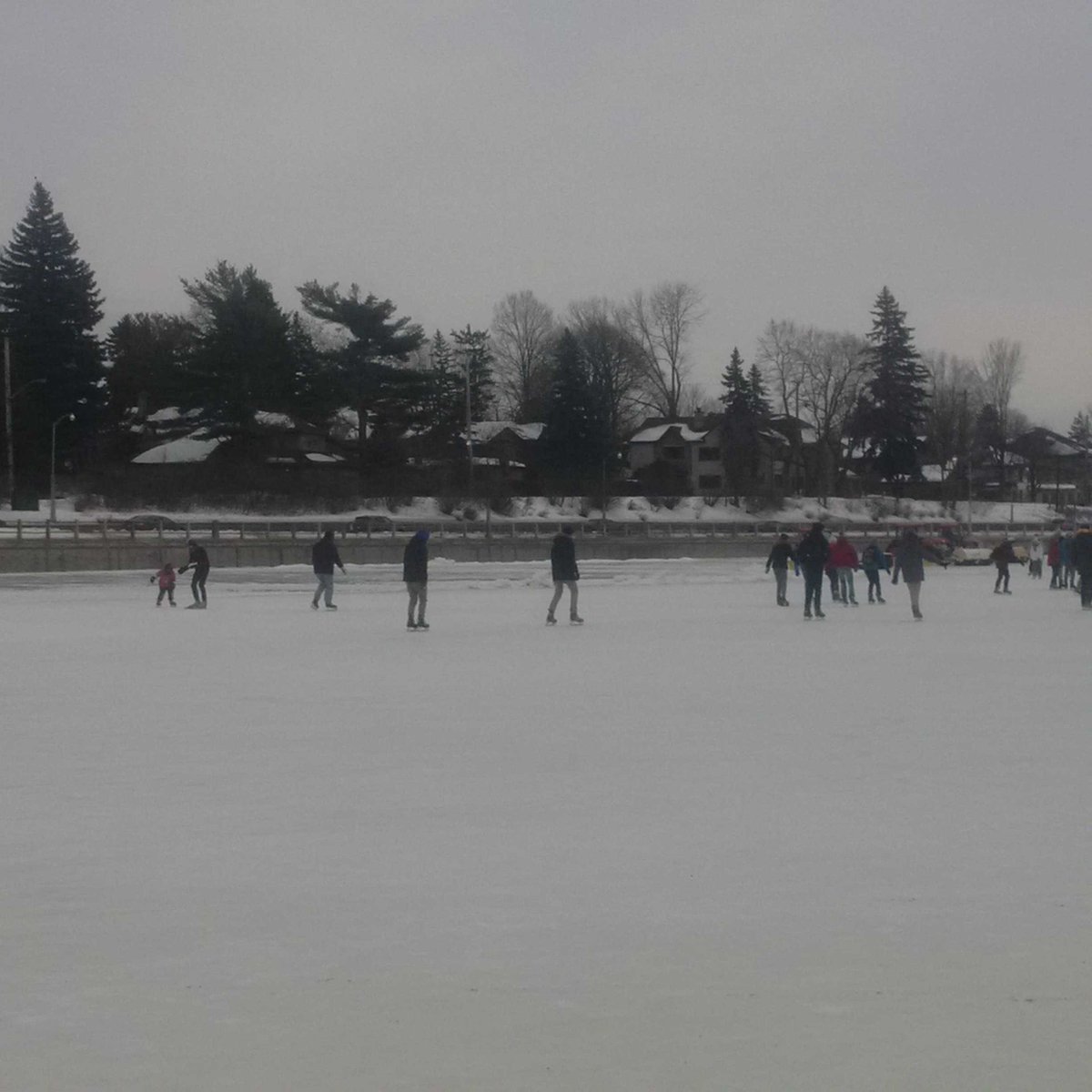 hockeytoronto's tweet photo. Skatin on the Rideau. Gettin ready for Leafs in Ottawa. #leafs #tmlfan #sens #leafsnation. https://t.co/ZJShJGl5Y2