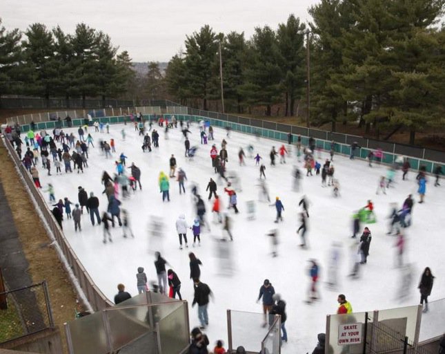More than 40 mascots took to the ice for the 30th annual Citiparks