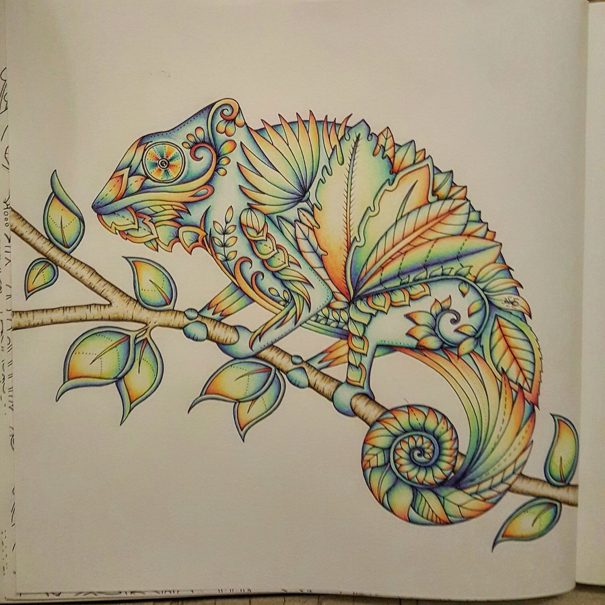 teresachard2's tweet photo. Totally loved colouring this one:) #johannabasford #magicaljungle #adultcolouring #colouringformindfulness https://t.co/1T48GHiMLp