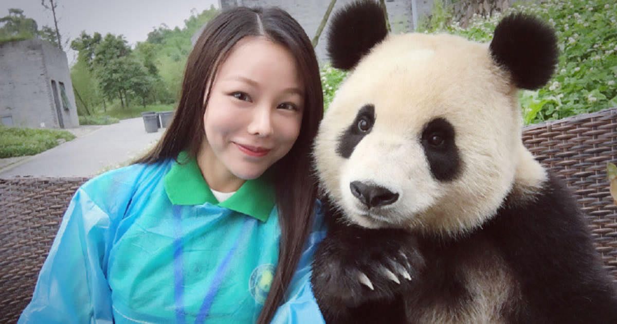 9GAG's tweet photo. This Giant Panda Has Mastered The Selfie Game
https://t.co/bXalGumw3V https://t.co/oWilqVJFHk