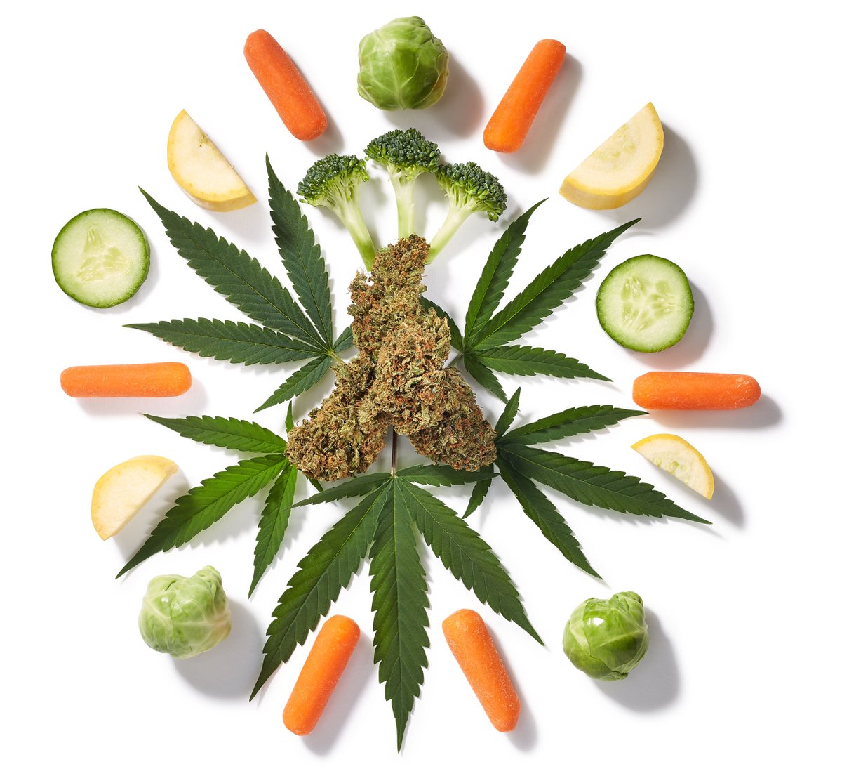 HIGH_TIMES_Mag's tweet photo. Vitamin THC: Read All About The Role Of #Cannabis as a #Superfood. https://t.co/aNSqY8xAoD https://t.co/ZYc6dr2GZ6