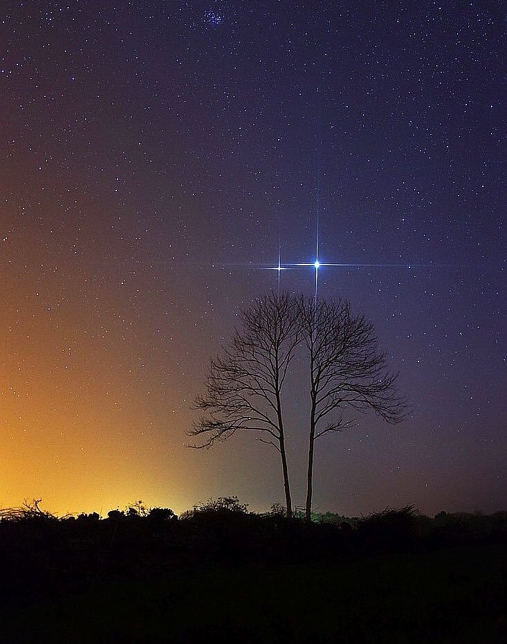 Bazen ,Bir 
Mucuze olsun istersin .     .