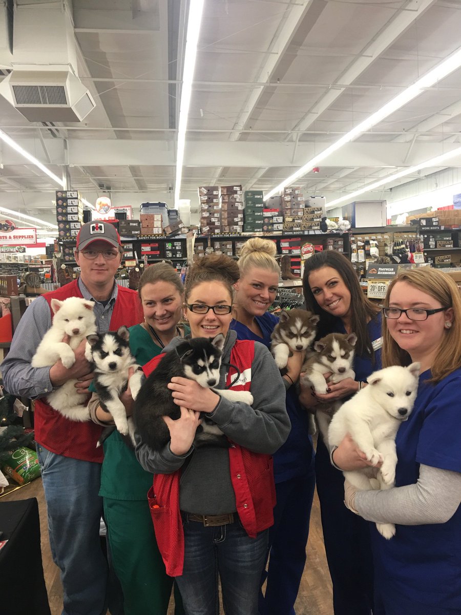 VipPetCare's tweet photo. Do you want to join our pack? Visit https://t.co/y0RZKTG3ij for job opportunities nationwide! #HealthyHappySafe #VIPPetcare #pets #PetVet https://t.co/9L0aVoLjTv