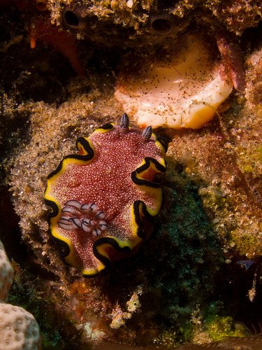 jarethdbb's tweet image. What a digital investments accordingly. #explicitly