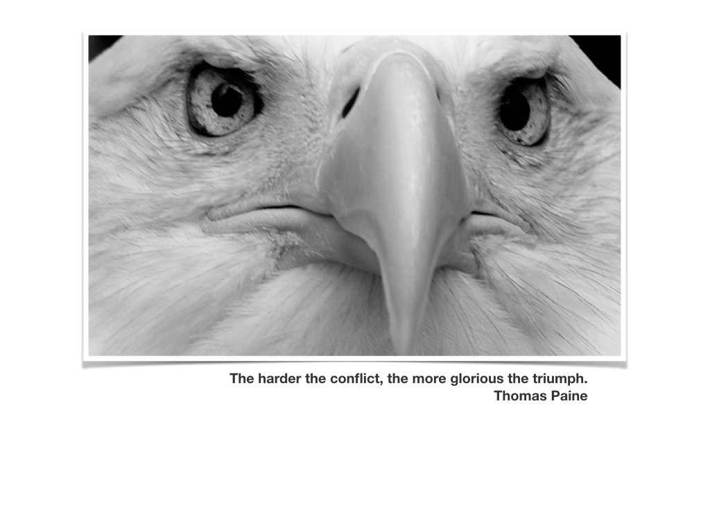 ShiftParadigm's tweet image. The harder the conflict, the more glorious the triumph. - Thomas Paine

#MLKday2017