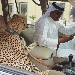 VCastellote's tweet photo. 20 Things That Probably Only Happen in Dubai https://t.co/aQFSNDRdaz https://t.co/MNH3qqdHmG