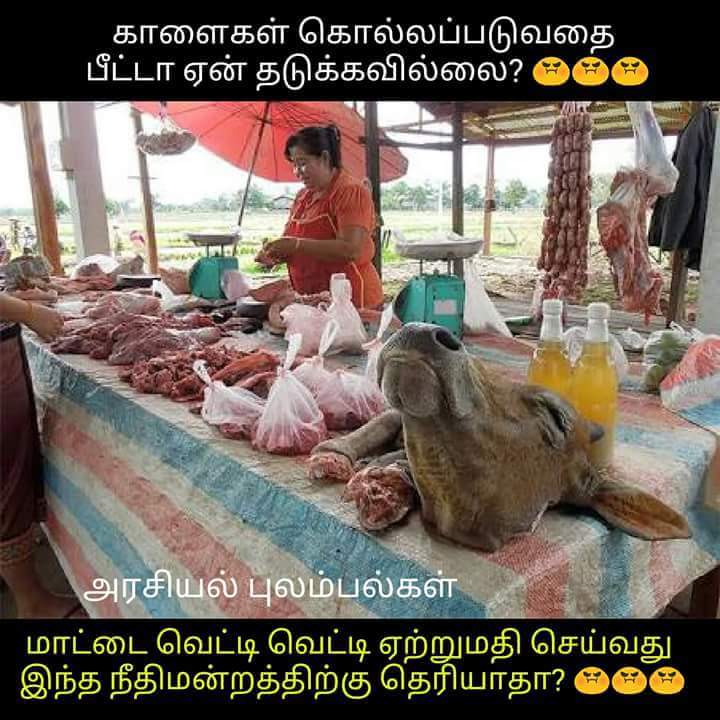 forever_abs_'s tweet photo. காசுக்காக ஓர் இனத்தின் பாரம்பரியத்தை அழிக்க நினைப்பதும்
அவன் வீட்டுப் பெண்ணை
அனுப்புவதும் ஒன்று தான்
@peta #GetOutFromIndia https://t.co/qyJAkNZwHg
