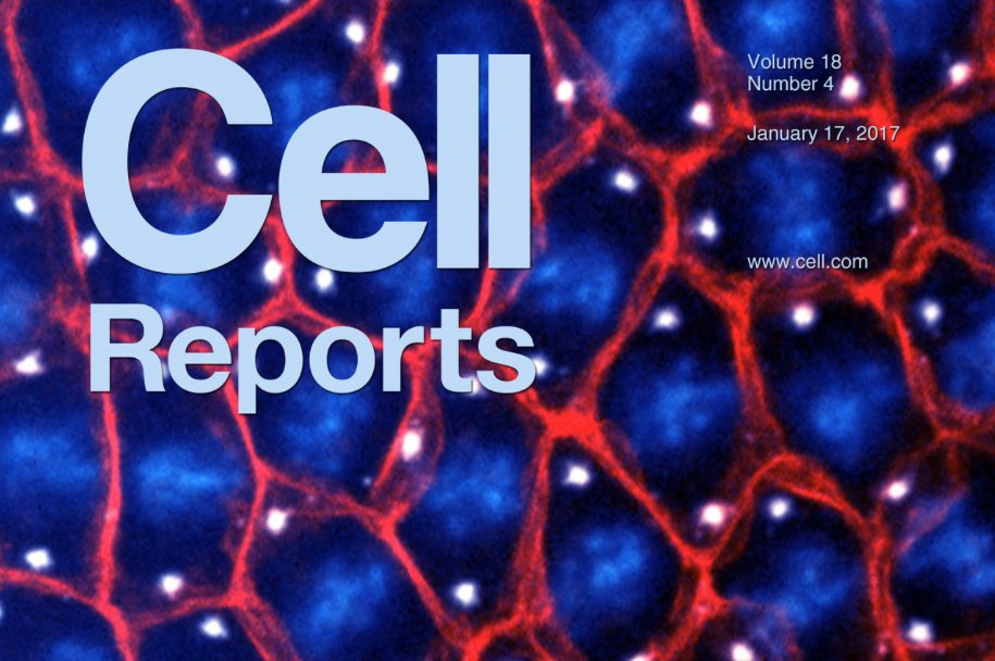 Innovative magazine covers from new member Meghan Gaucher.

shocase.com/go/user/S7iyql…