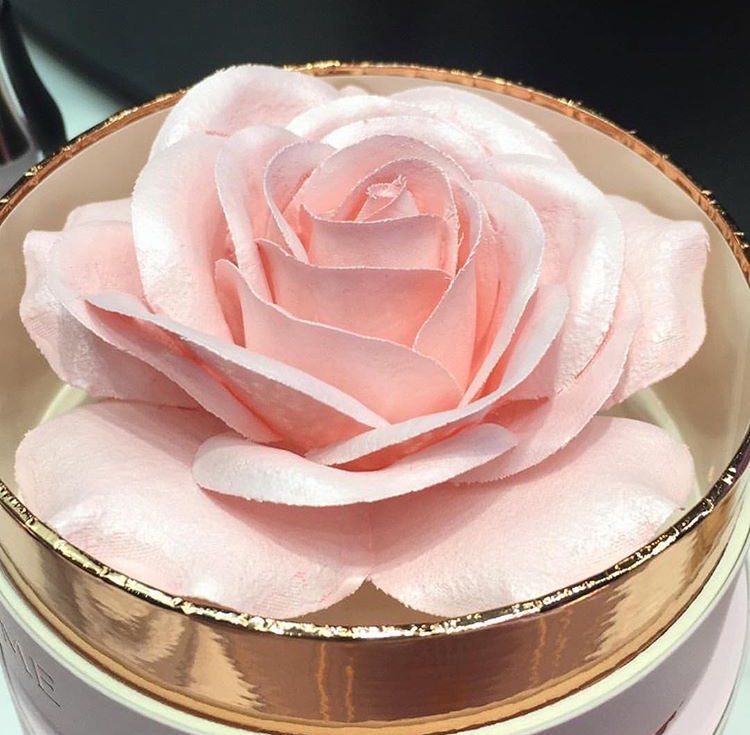 Trendmood's tweet photo. NOW online!!! LINK ➡ https://t.co/Mach1v0ngi 😍 🌸@Macys @lancomeofficial #AbsolutelyRose #Collection 🌸 La Rose Parisian #Powder 📸 @reeneb0ts https://t.co/mDInTVzpVs