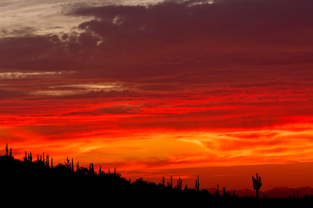 AZStateParks tweet picture