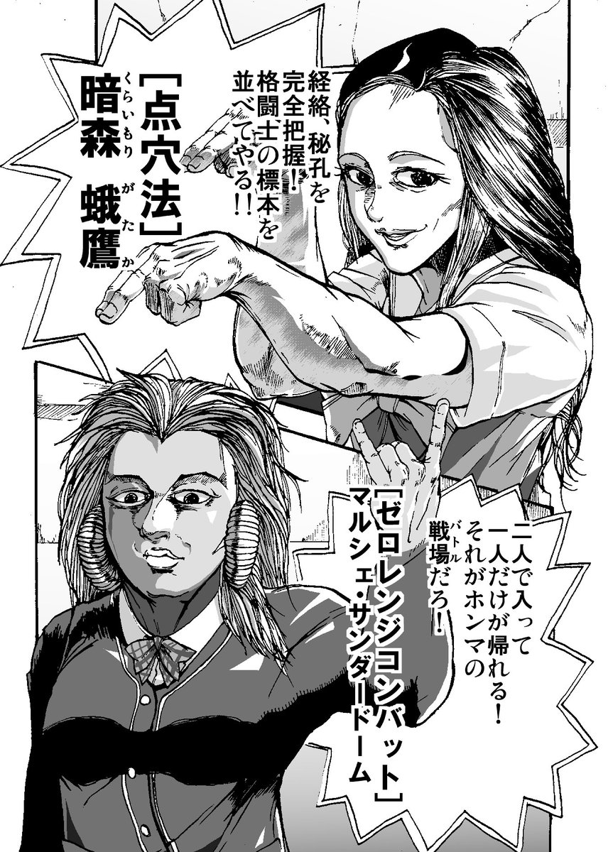 「ティナ・ターナーをモデルにした女子高生」
というアイデアにムリがあった 