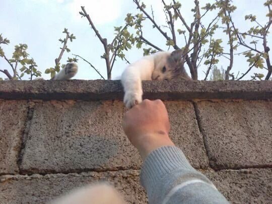 incredibleviews's tweet photo. That one friend who's always there for you. https://t.co/XgfdC02JlR