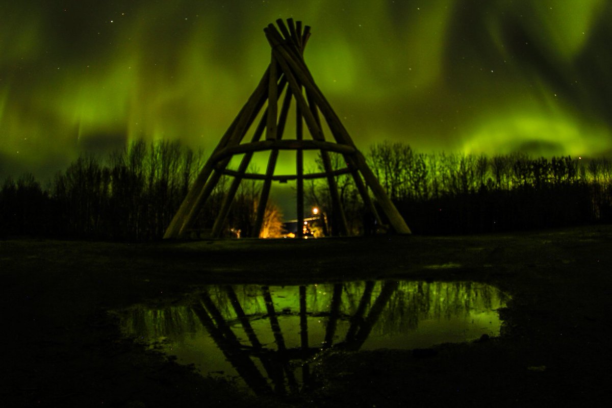 Spectacular NWT tweet media