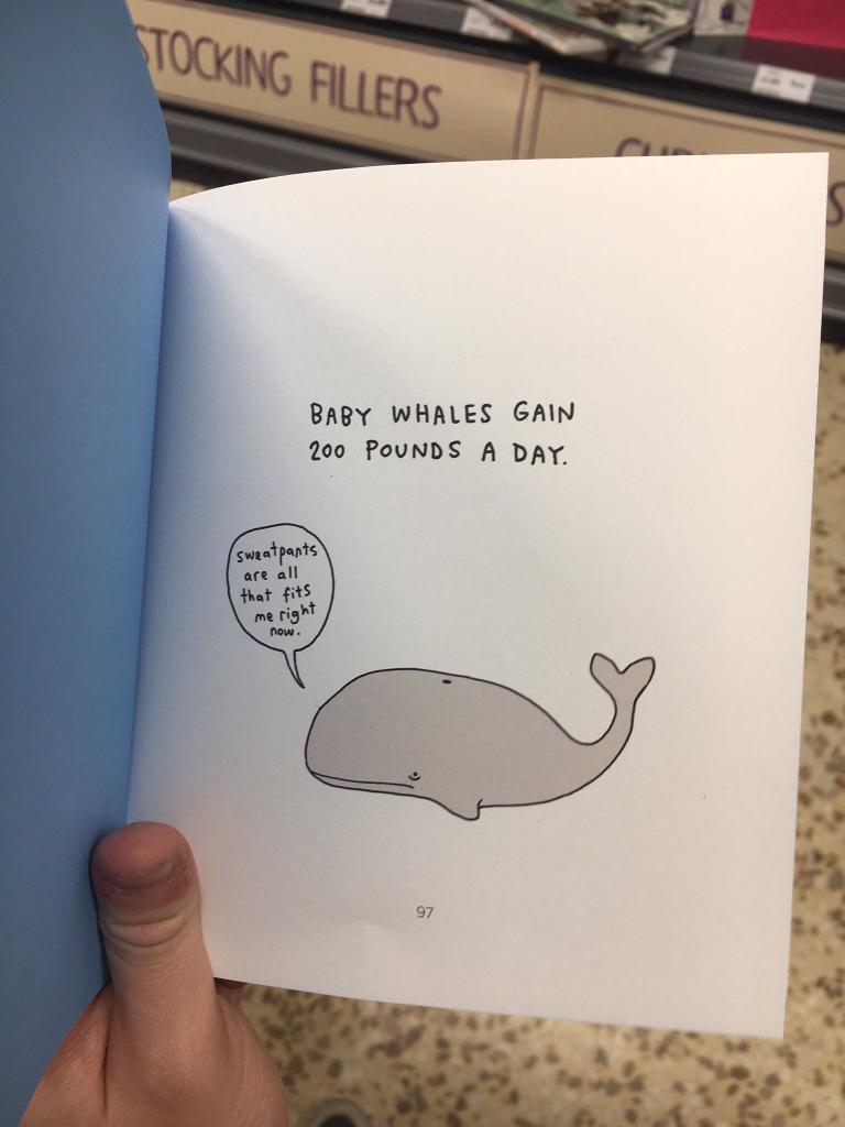 Raine4ver's tweet image. I have so much in common with animals omg