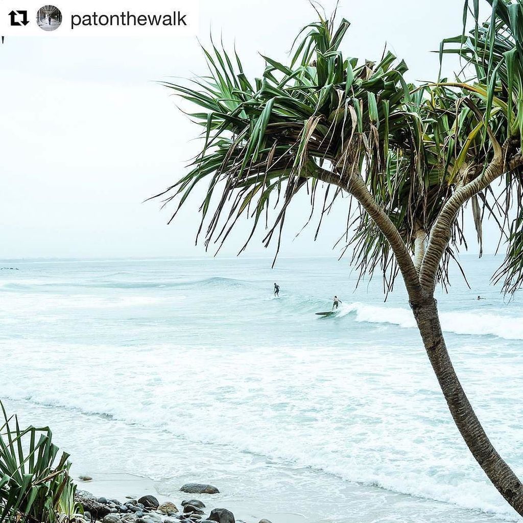 byronbay's tweet photo. Cloudy day in Byron Bay... Repost @patonthewalk
・・・
at the surf in #byronbay #patonthewalk… https://t.co/nkFBzcQzJZ https://t.co/Rt7cpa6HAm