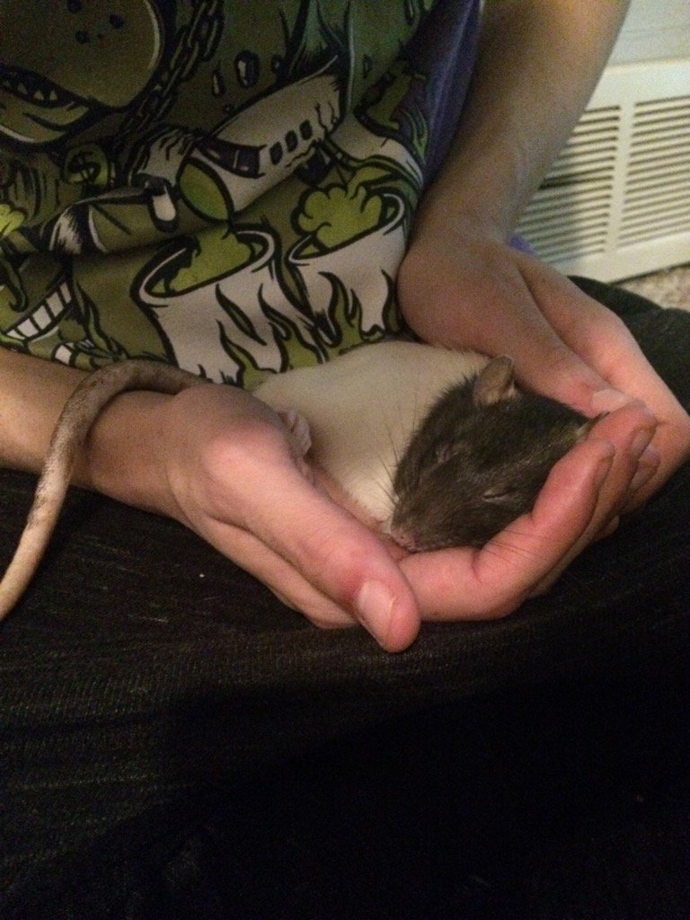 marshmalinetcfq's tweet photo. Prayers for maka pls:( https://t.co/g8GGxmpZur