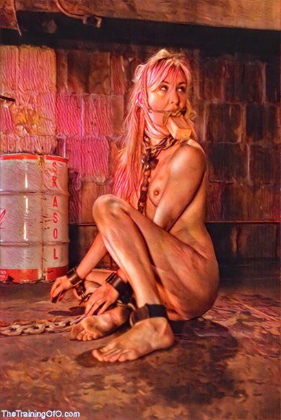 ThingYong's tweet photo. Cutie @misscalico #calicolane #calicoslave #trainingofo #bdsm #lovecalico https://t.co/byDmPyF8cs