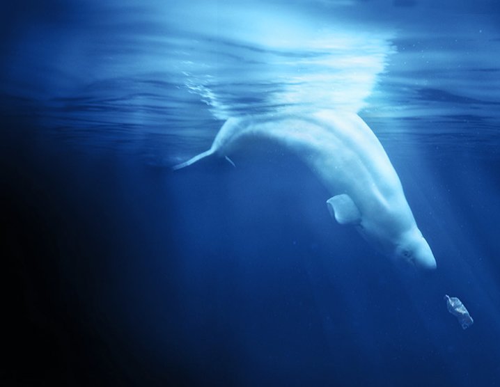 glassisback's tweet image. Great documentary called A Plastic Ocean  facebook.com/deltaprotectiv…