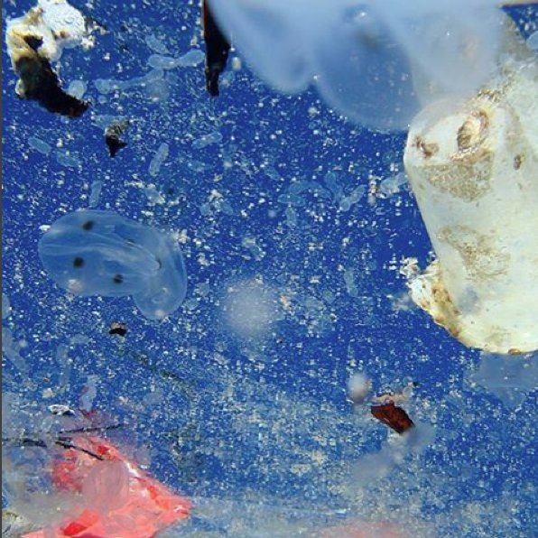 glassisback's tweet image. Great documentary called A Plastic Ocean  facebook.com/deltaprotectiv…