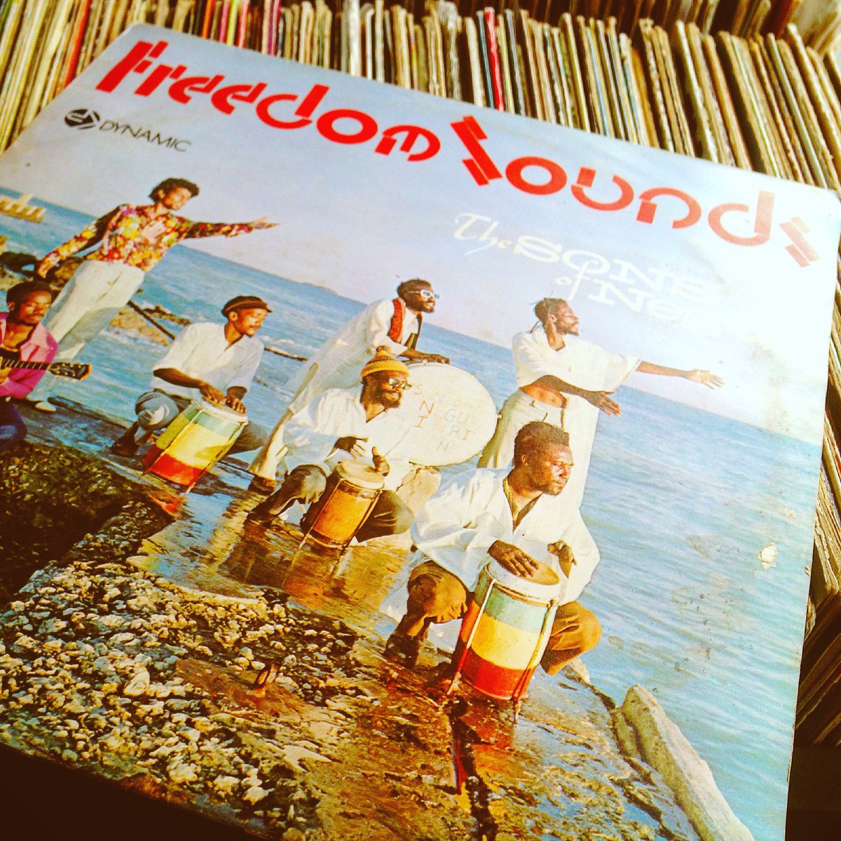 Kazuki_cocoisle's tweet photo. さあ開店! 今日はこの一枚からスタート … "The Sons Of Negus / Freedom Sounds"♪
最強寒波の襲来も、日だまりに居れば身も心もポッカポカ ☺️
#sonsofnegus #nyahbhingi https://t.co/7O0j4zCO25