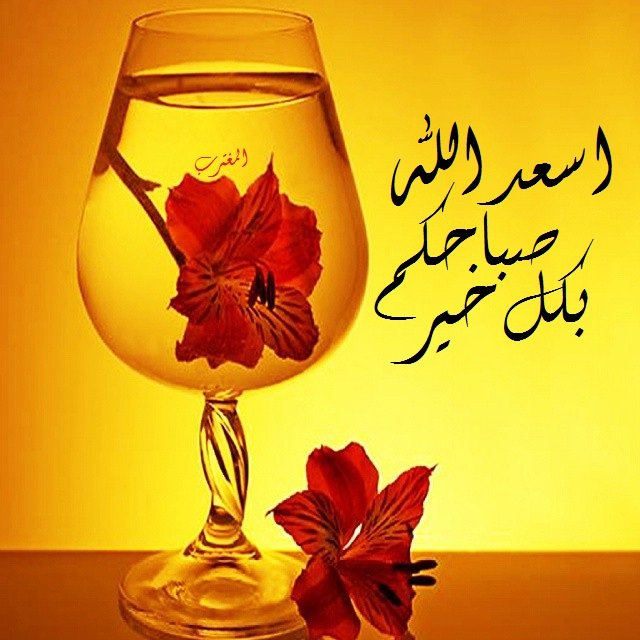 sajad (@amedali227) on Twitter photo 