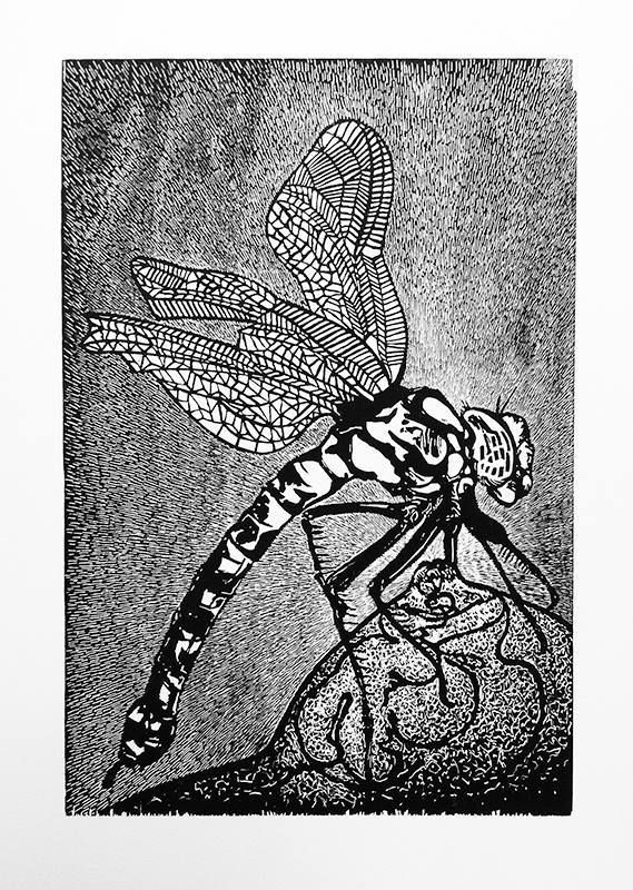 MoisesGallery's tweet photo. Luis Miguel Valdes https://t.co/DIIClfKfAc https://t.co/mFCS6roF1d