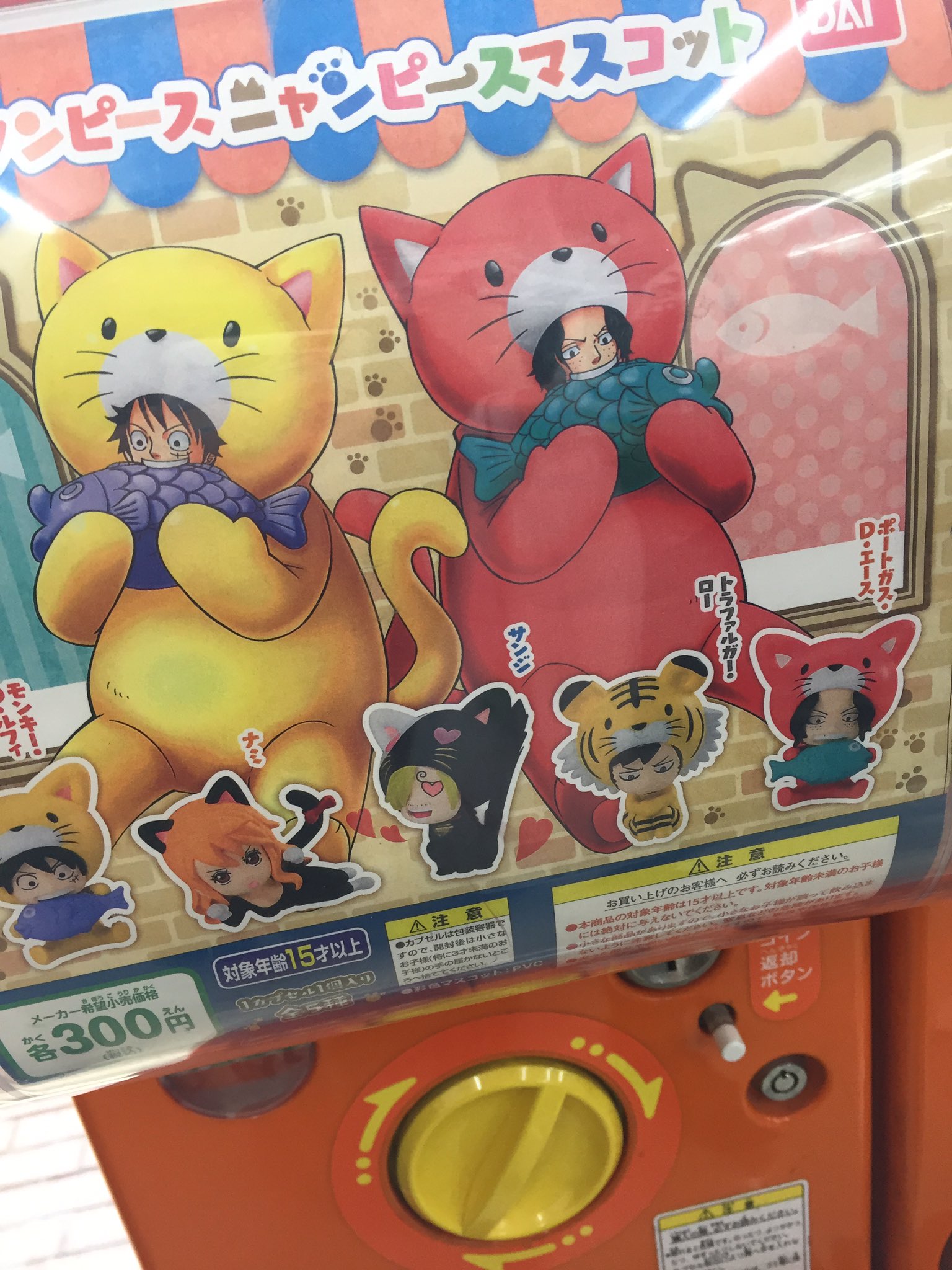 ちゃっぴー Chappy Mipo Twitter