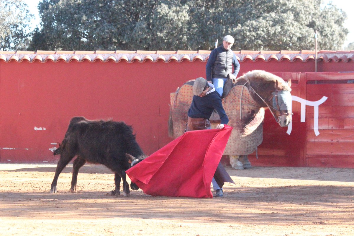 Mañana de tentadero, de categoría (I):<a href="/CurroDiazOf/">Curro Díaz</a> en <a href="/toros_ELPILAR/">Ganadería EL PILAR</a>