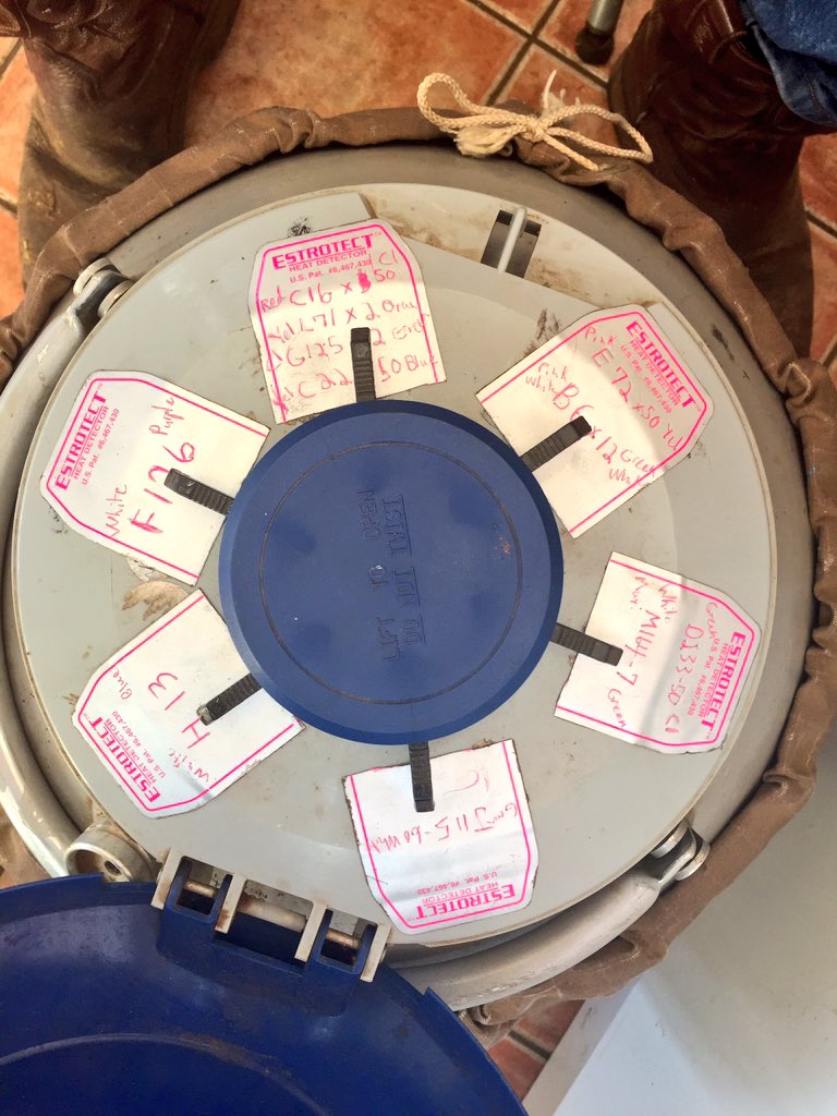CupSailor's tweet photo. @IGWagyu AI program with 300 FB @EnochCowVet had a neat idea to scratch out heat detectors with the semen straw positions https://t.co/6EnGSjnKnY