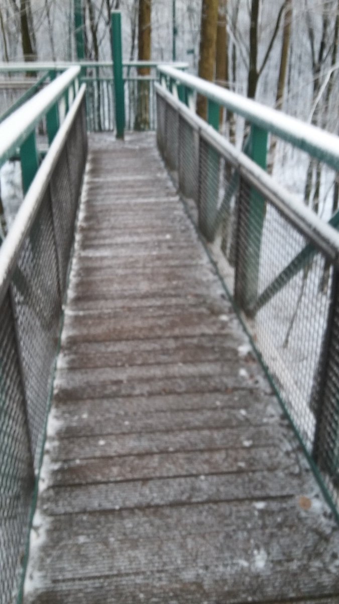 Winterssfeertje bij <a href="/Boomkroonpad/">Boomkroonpad</a> <a href="/staatsbosbeheer/">Staatsbosbeheer</a> . Wij zijn open van 10.00 tot 16.00 uur.