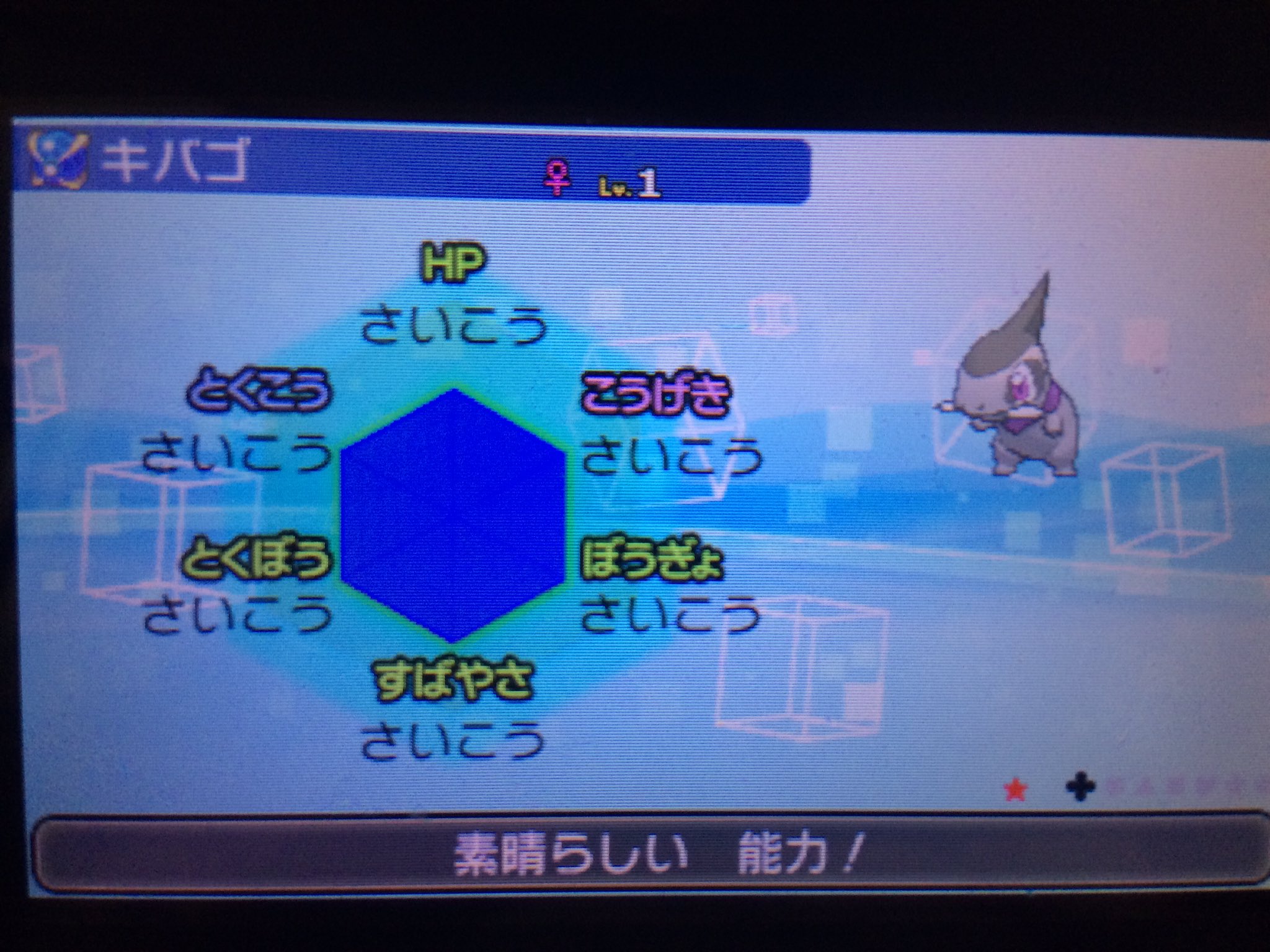 アカウント消しました 意地6v色違いキバゴプレゼントします たまたま２匹色違いが生まれてしまいました 参加方法rt いいね 〆切2 18まで ポケモン配布 ポケモン交換