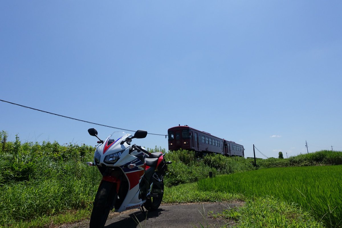 temlei603's tweet photo. よろしくです！

#バイク乗りと繋がりたい 
#CBR250R
#バイク好きな人RT 
#バイク写真部 https://t.co/oxqGvQdN0e