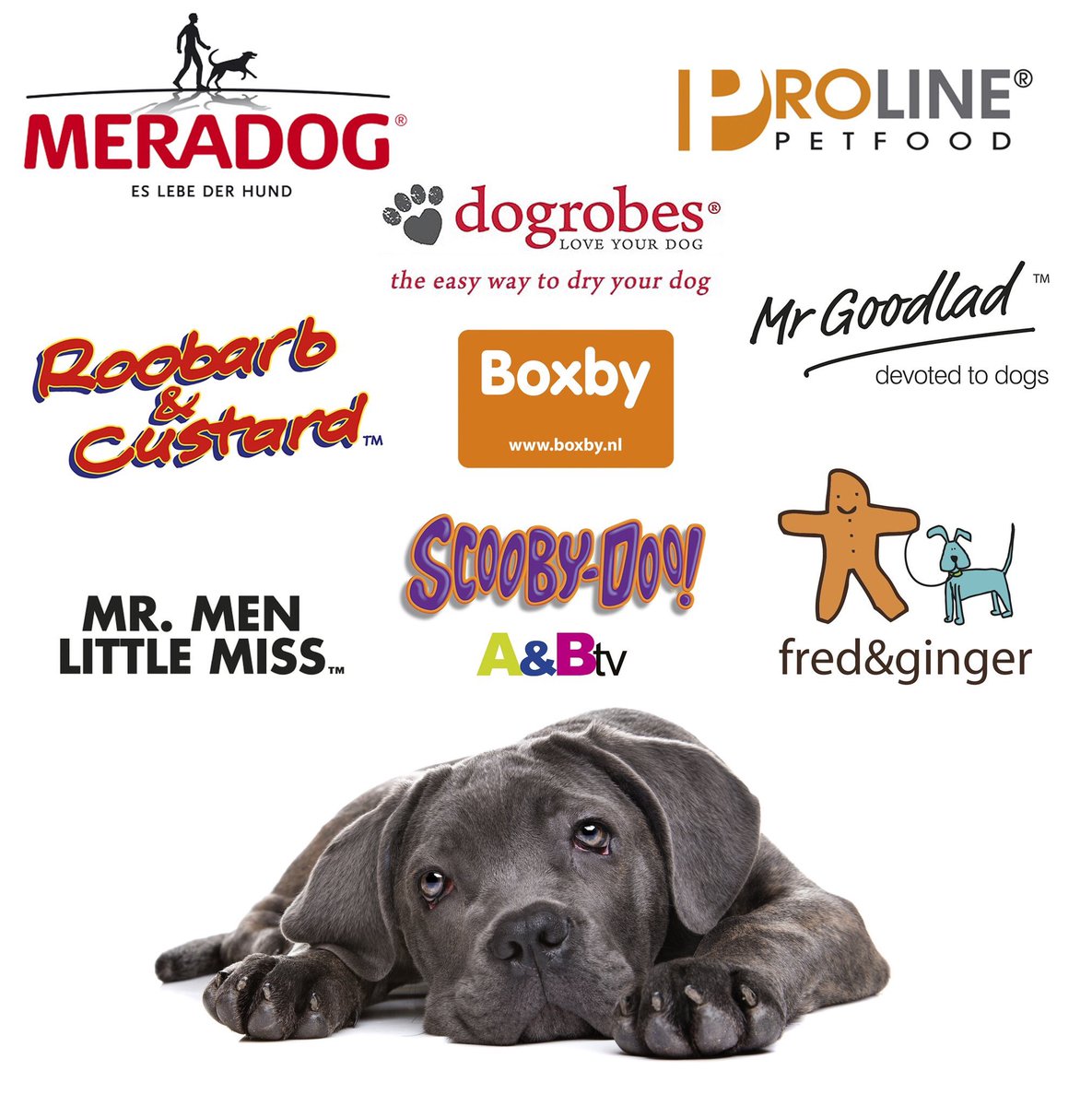 DependablePets's tweet photo. Just some of the brands we stock...  #ukweekendhour #networking #dependablepets https://t.co/HSlNpktlE5