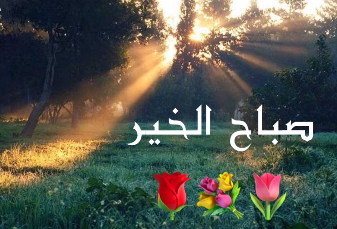 وتشرق الشمس من بعيد ومعها أمل من جديد..لمن يحسنون الظن بالله..!