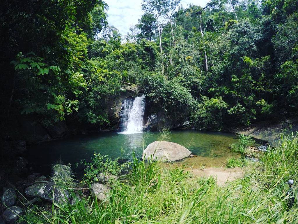 nomadslanka's tweet photo. After a bus ride and walk we reach this amazing waterfall with a natural pool enclosed by the dense forest, close t… https://t.co/PgiorBBCjf