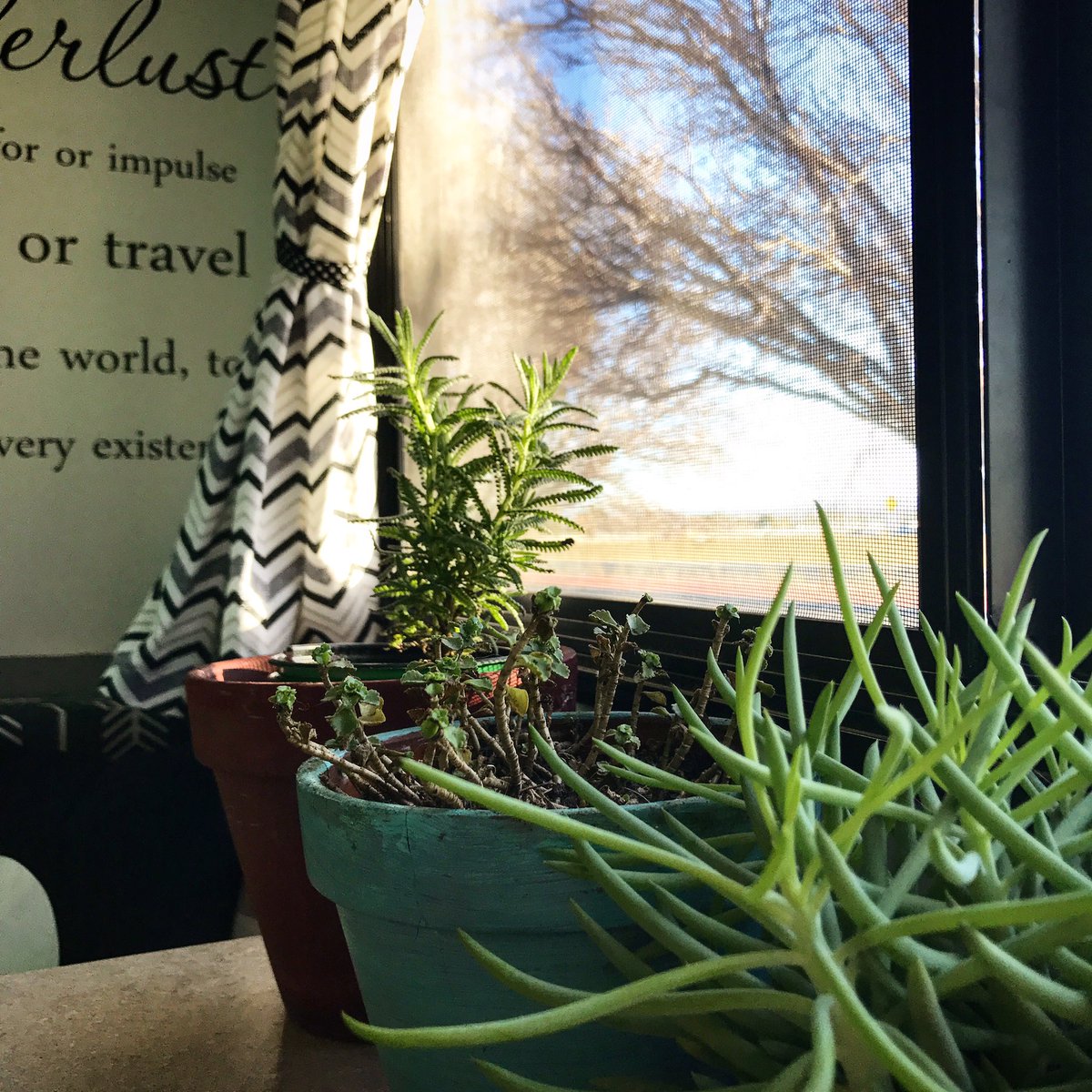 SamLeash's tweet photo. Today's office ❤️🌿💻✌🏼️ #workontheroad #workfromanywhere #RVing #RVlife #laptoplifestyle #houseplants #currentview https://t.co/CaKkKoa0TY