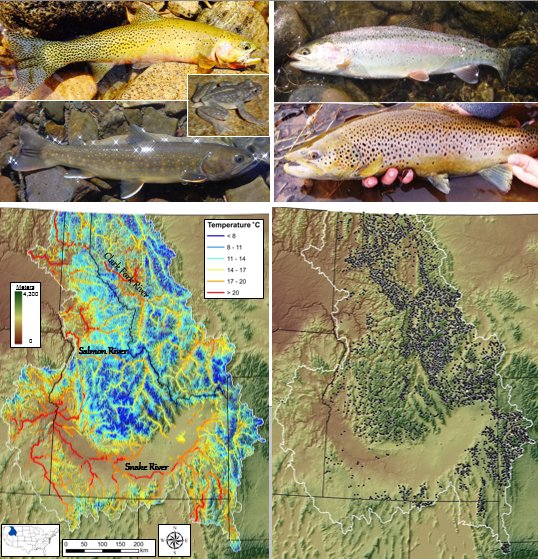BIG Biology meets Microclimatology: New Eco-Apps study uses huge datasets to describe species thermal niches here researchgate.net/profile/Daniel…