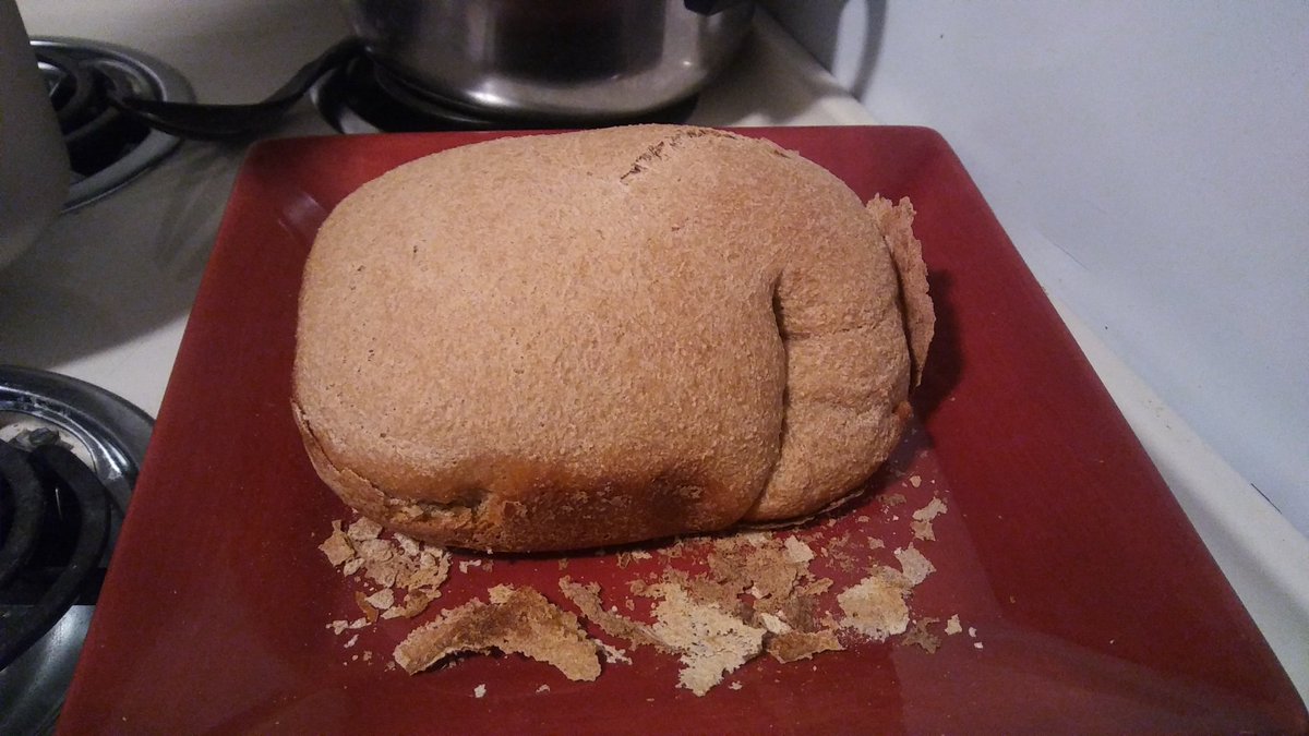 thefabldone's tweet image. Fabldone's first wheat loaf! #firstbread #giveusthisdayourdailybread