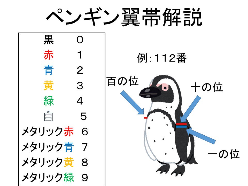 ペンギン様 外見だけでは個体識別が難しいので翼帯で判別しています。図のように