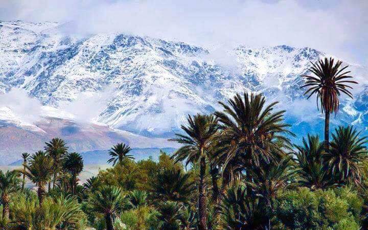 OualidRehabi's tweet photo. good morning :) 
my country ALGERIA https://t.co/nKAkuFnClL