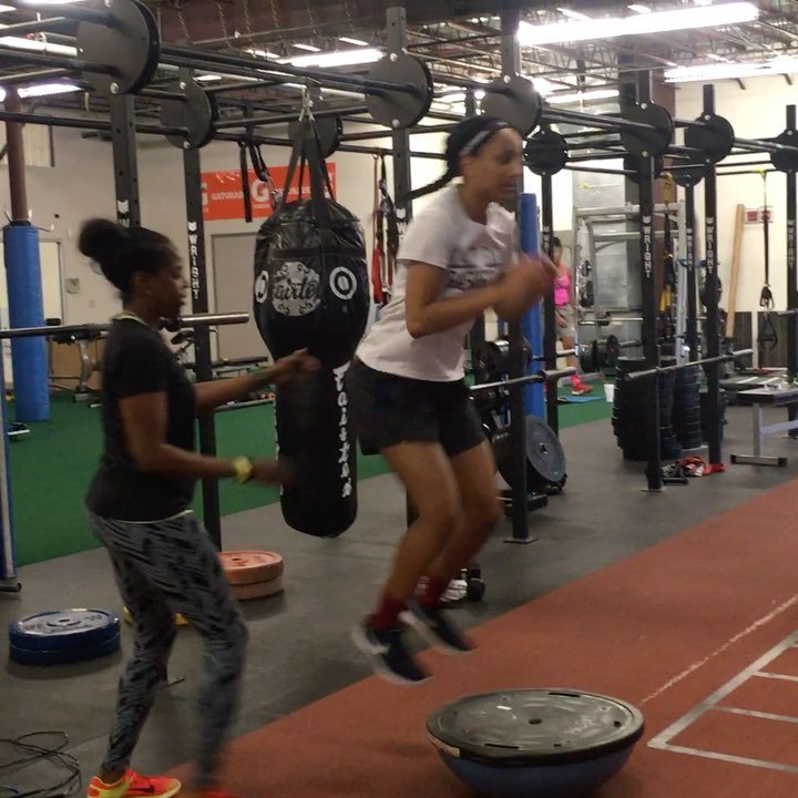 grayfittraining's tweet photo. Inverted bosu ball jumps. Trust the process! #wewerk #ligaments #legacy #LATechcommit 🏀⛹🏾♀️💙❤️ Watch #Instavideo:h… https://t.co/fQKjG2Q34U